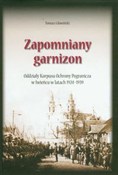 Zapomniany... - Tomasz Głowiński -  books in polish 