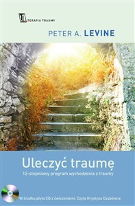 Obrazek Uleczyć traumę 12- stopniowy program wychodzenia z traumy