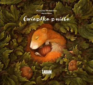 Obrazek Gwiazdka z nieba