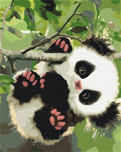 Picture of Malowanie po numerach Słodka panda 40x50cm
