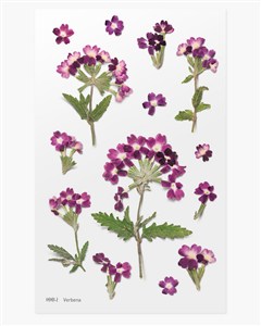 Obrazek Naklejki ozdobne kwiaty Werbena artystyczne scrapbooking rękodzieło