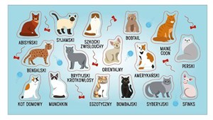 Picture of Naklejki Rasy kotów