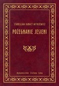 Pożegnanie... - Stanisław Ignacy Witkiewicz - Ksiegarnia w UK