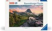 Zobacz : Puzzle 300...