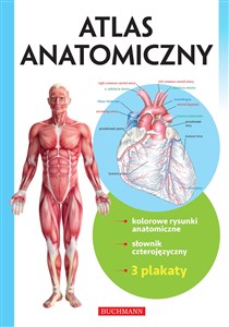Obrazek Atlas anatomiczny