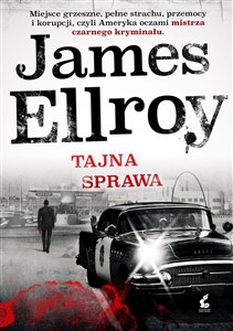 Obrazek Tajna sprawa