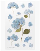 Naklejki o... -  books in polish 