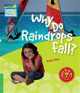 Picture of Why Do Raindrops Fall? 3 Factbook