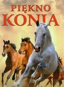 Piękno kon... - Nicola Jane Swinney -  books from Poland