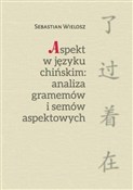 Aspekt w j... - Sebastian Wielosz -  foreign books in polish 