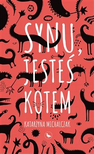 Obrazek Synu, jesteś kotem