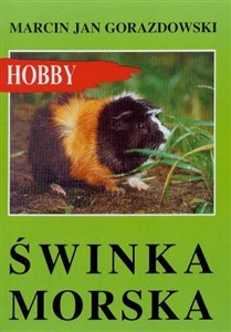 Obrazek Świnka morska