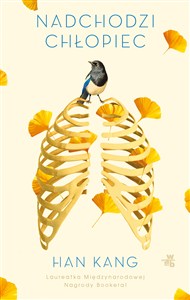 Obrazek Nadchodzi chłopiec