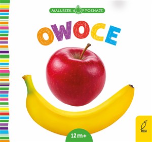 Picture of Owoce. Maluszek poznaje