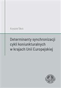 polish book : Determinan... - Krzysztof Beck