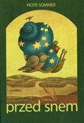 polish book : Przed snem... - Piotr Sommer