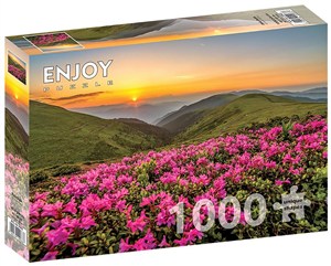 Picture of Puzzle 1000 Różowy zmierzch