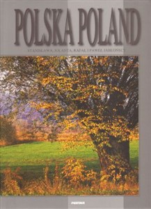 Obrazek Polska wer. Polsko-angielska