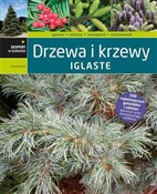 Polska książka : Drzewa i k... - Lucjan Kurowski