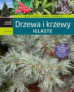 Obrazek Drzewa i krzewy iglaste