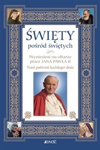 Obrazek Święty pośród świętych Wyniesieni na ołtarze przez Jana Pawła II . Nasi patroni każdego dnia