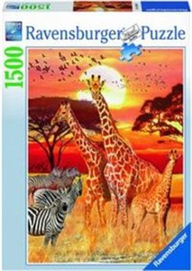 Picture of Puzzle 1500 Afrykański zachód słońca