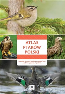 Obrazek Atlas ptaków Polski