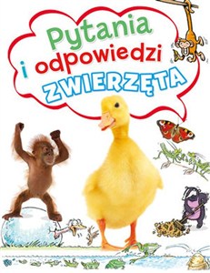 Obrazek Pytania i odpowiedzi. Zwierzęta