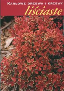 Picture of Karłowe drzewa i krzewy liściaste