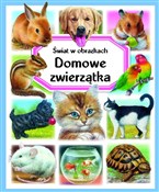 Zobacz : Świat w ob... - Emilie Beaumont, Patricia Reinig