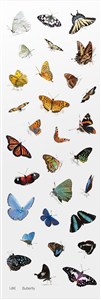Picture of Naklejki ozdobne Motyle artystyczne scrapbooking rękodzieło