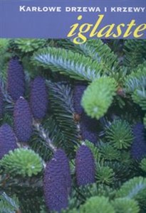 Picture of Karłowe drzewa i krzewy iglaste