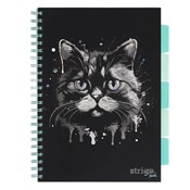 Kołozeszyt... -  Polish Bookstore 