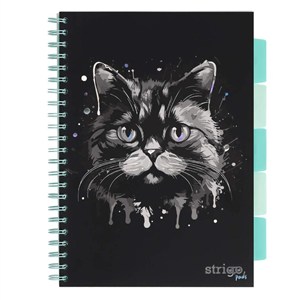 Obrazek Kołozeszyt Pads A4/100K linia Kot