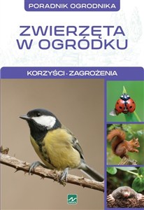 Obrazek Natura Zwierzęta w ogródku
