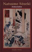 polish book : Jestem kot... - Natsume Soseki