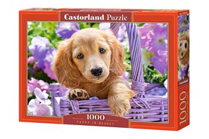 Obrazek Puzzle 1000 Puppy in Basket C-103799