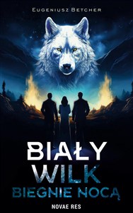 Obrazek Biały wilk biegnie nocą