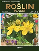 Polska książka : Ilustrowan... - Anna Przybyłowicz, Łukasz Przybyłowicz