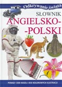 Książka : Słownik an... - Opracowanie Zbiorowe