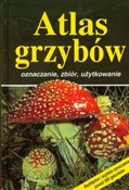 Atlas grzy... - Markus Fluck -  books in polish 