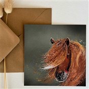 Polska książka : Karnet AC8...