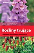 Polska książka : Rośliny tr... - Burkhard Bohne, Peter Dietze
