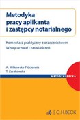 polish book : Metodyka p... - Aneta Wilkowska-Płóciennik, Tamara Żurakowska