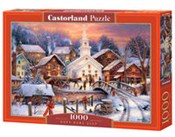 Puzzle 100... -  books from Poland