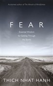 Fear - Thich Nhat Hanh -  books in polish 