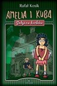 Amelia i K... - Rafał Kosik -  Książka z wysyłką do UK