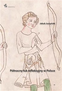 Obrazek Północny łuk refleksyjny w Polsce