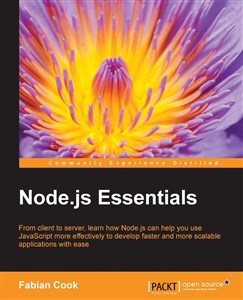 Picture of Node.js Essentials