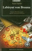 Labirynt v... - Rafał Dębski -  Książka z wysyłką do UK